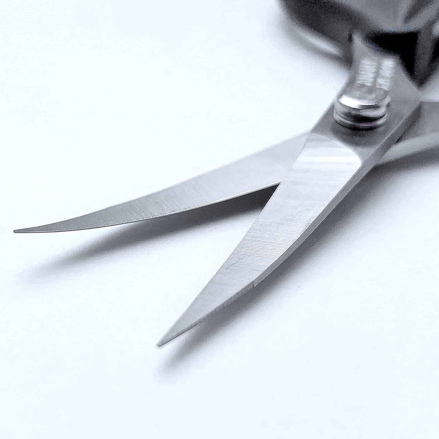 「長谷川刃物」CANARY  Made In Japan - Thin Curved Blade Pointed Tip Shear