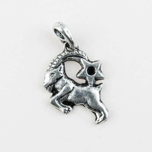 Horoscope Pendant / Charm